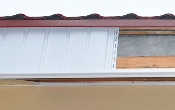 Lower Bracky fascia repair costs