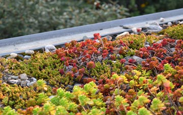 the cost of Lower Bracky green roof installation