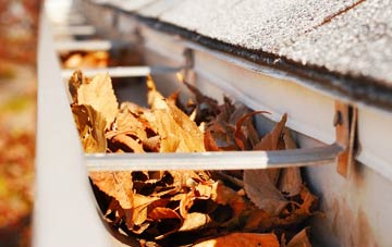 Lower Bracky gutter cleaning companies