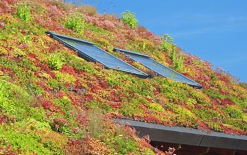 Lower Bracky living roof systems