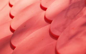 Lower Bracky plastic roof costs