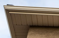 free Lower Bracky fascia quotes