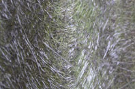 Lower Bracky fibreglass roof work