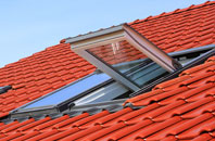 Lower Bracky roof window