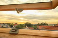 rated Lower Bracky roof window companies